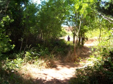 Your Path